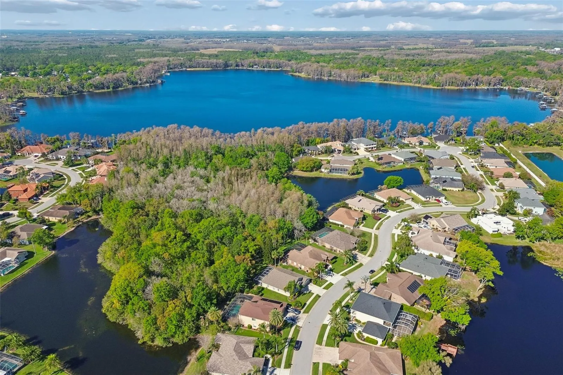 21314 Marsh Hawk Drive Land O Lakes FL 34638