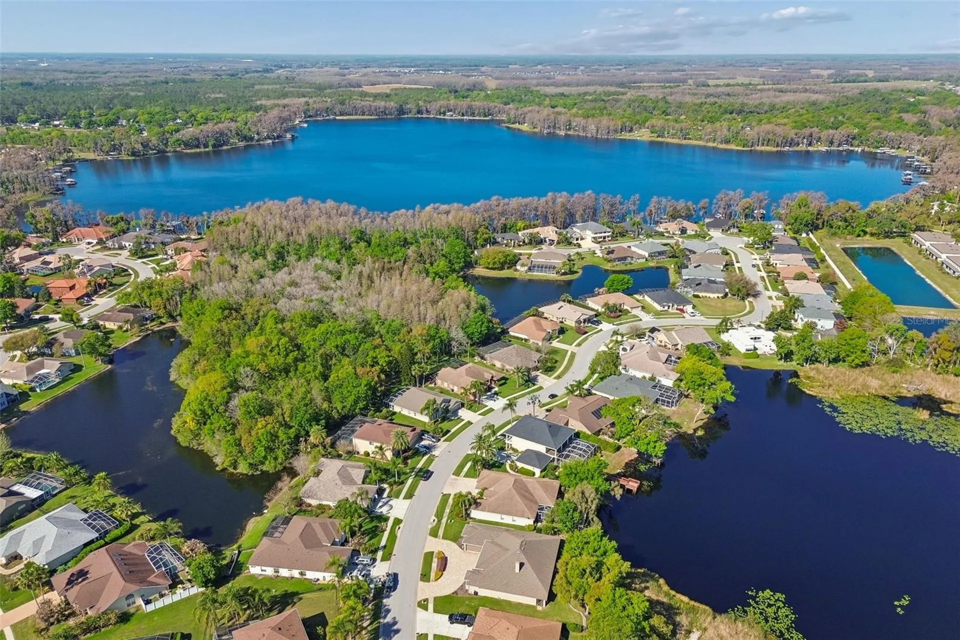 21314 Marsh Hawk Drive Land O Lakes FL 34638