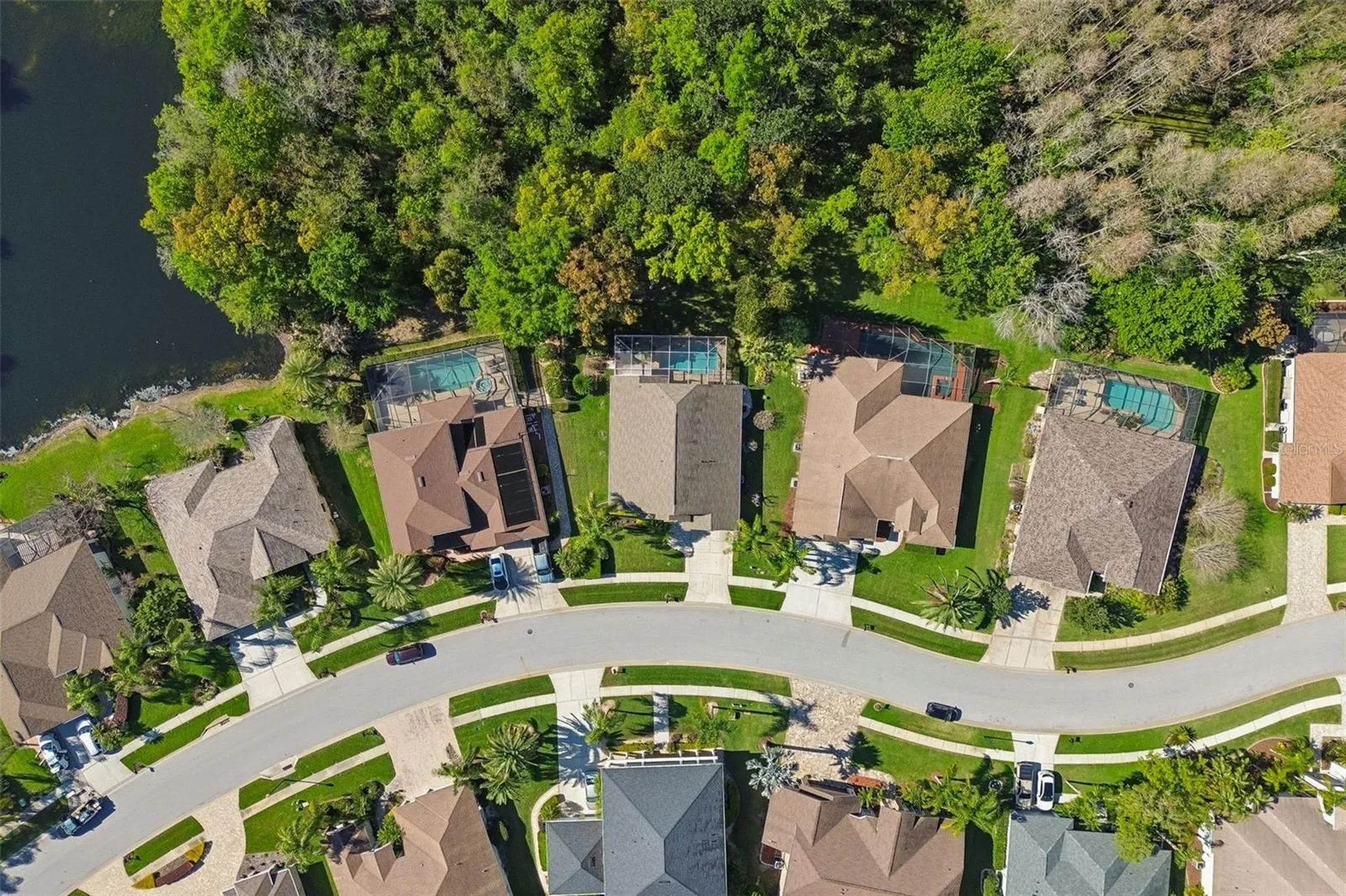 21314 Marsh Hawk Drive Land O Lakes FL 34638