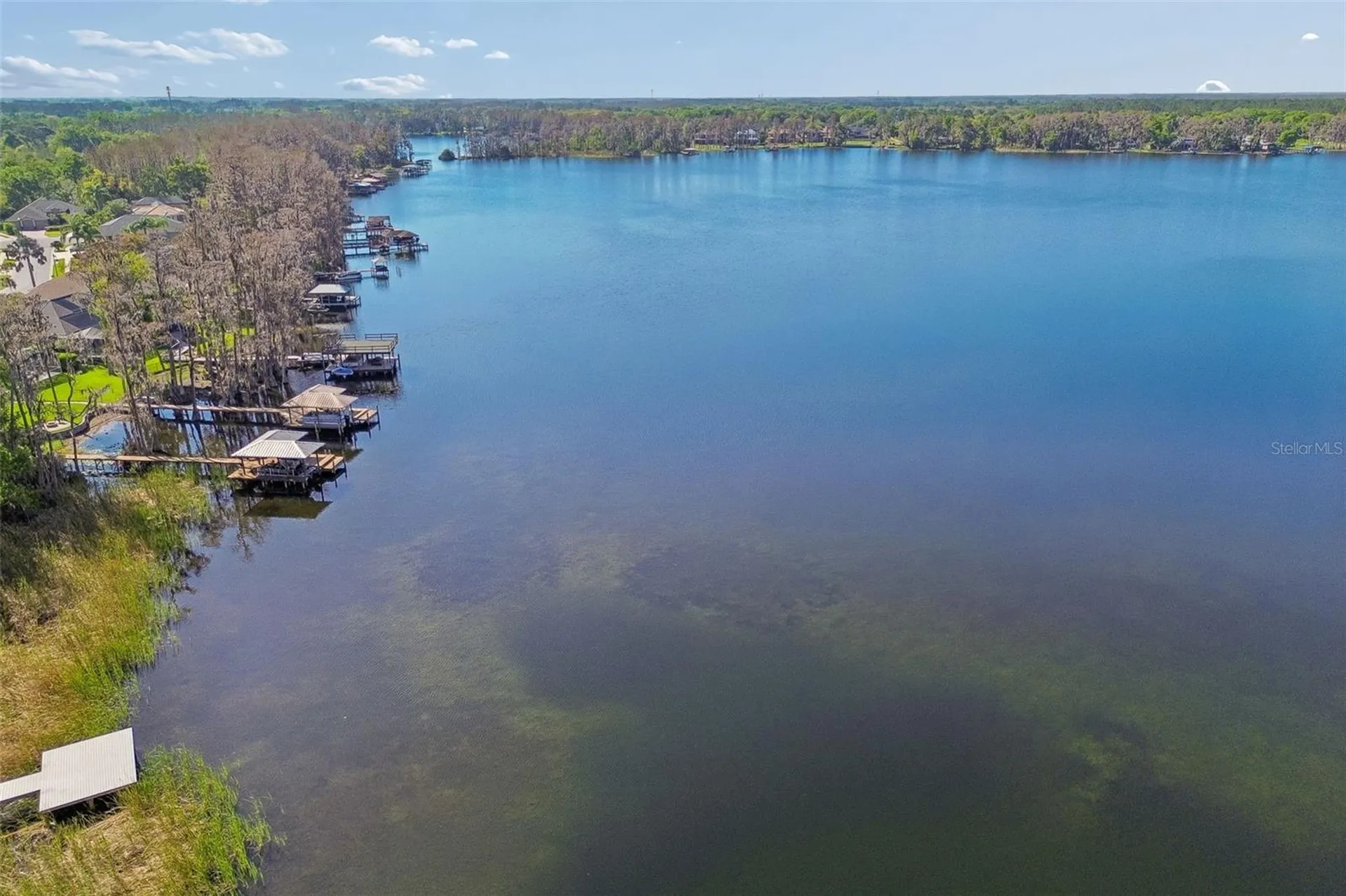 21314 Marsh Hawk Drive Land O Lakes FL 34638