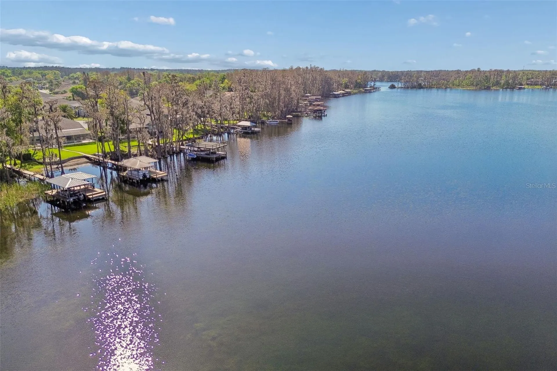 21314 Marsh Hawk Drive Land O Lakes FL 34638