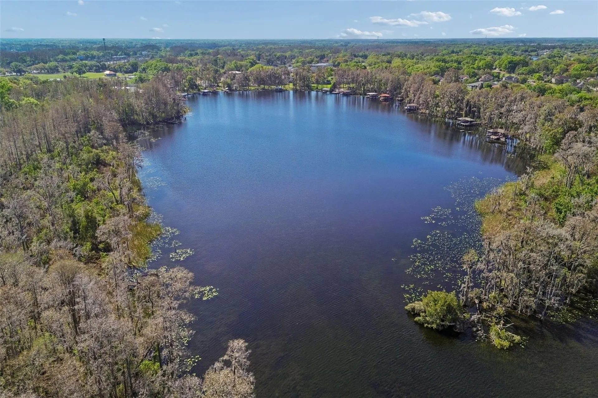 21314 Marsh Hawk Drive Land O Lakes FL 34638