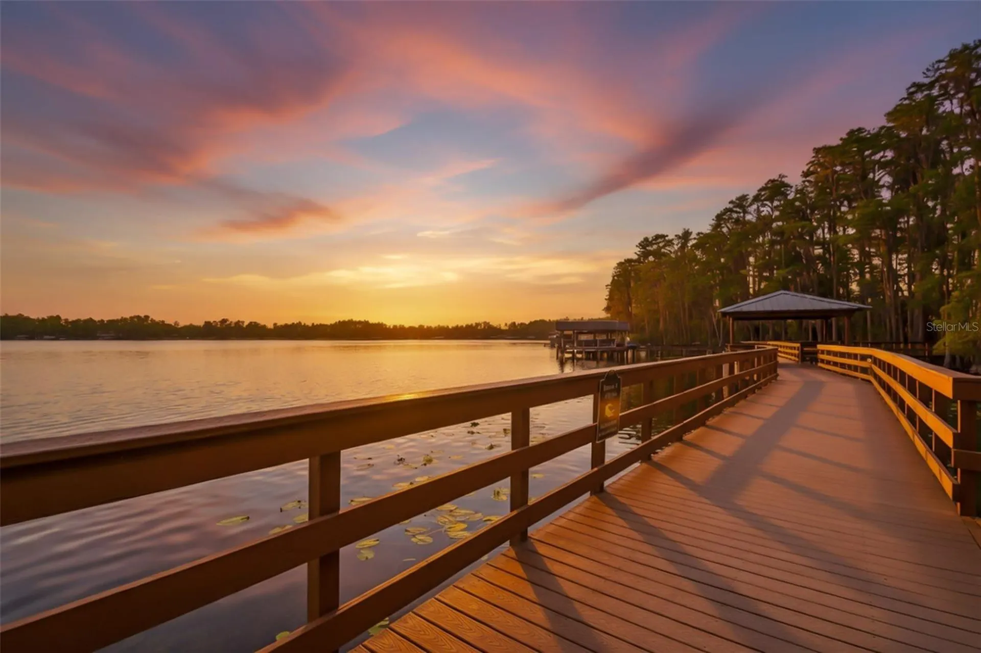 21314 Marsh Hawk Drive Land O Lakes FL 34638