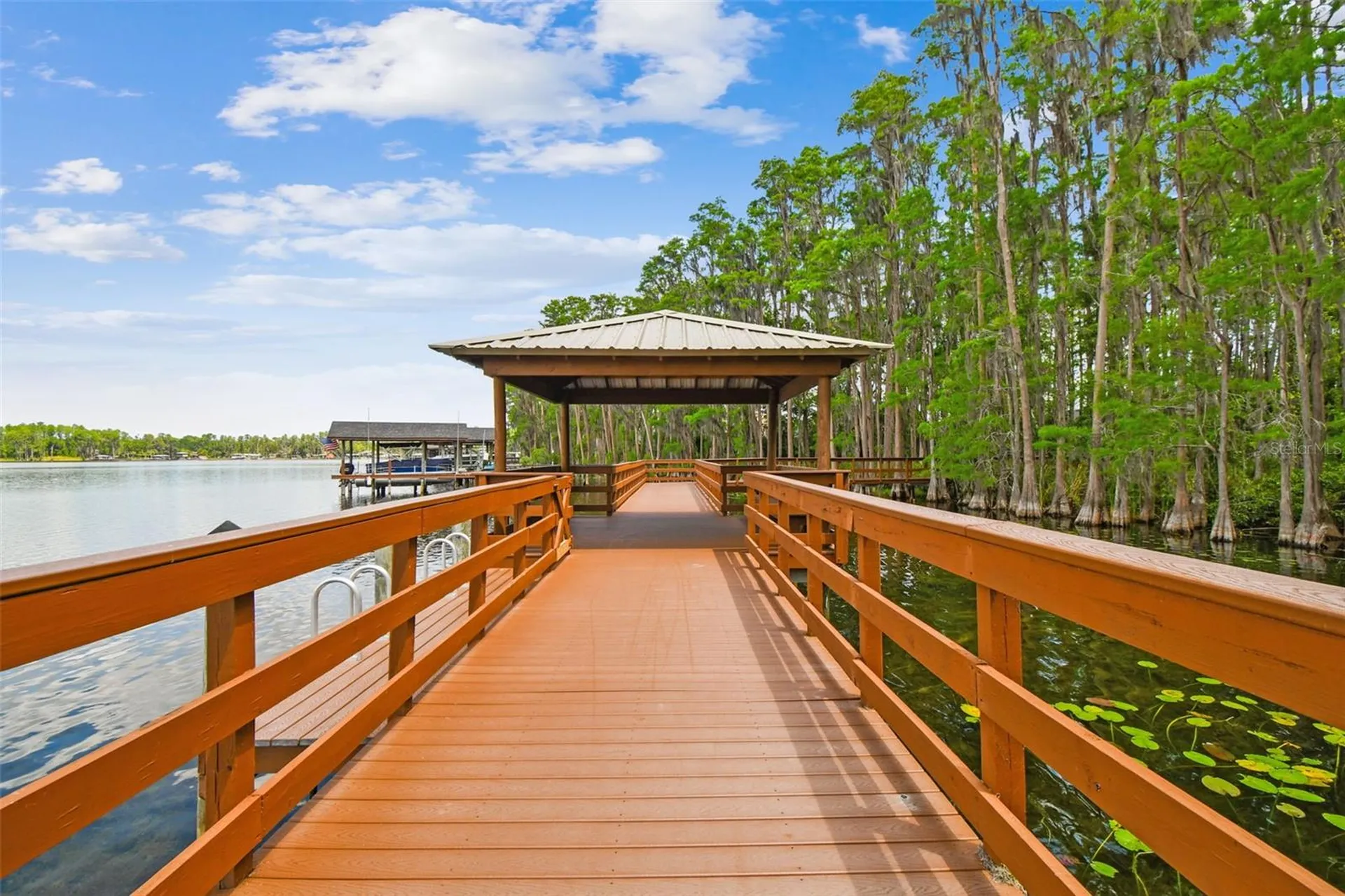 21314 Marsh Hawk Drive Land O Lakes FL 34638