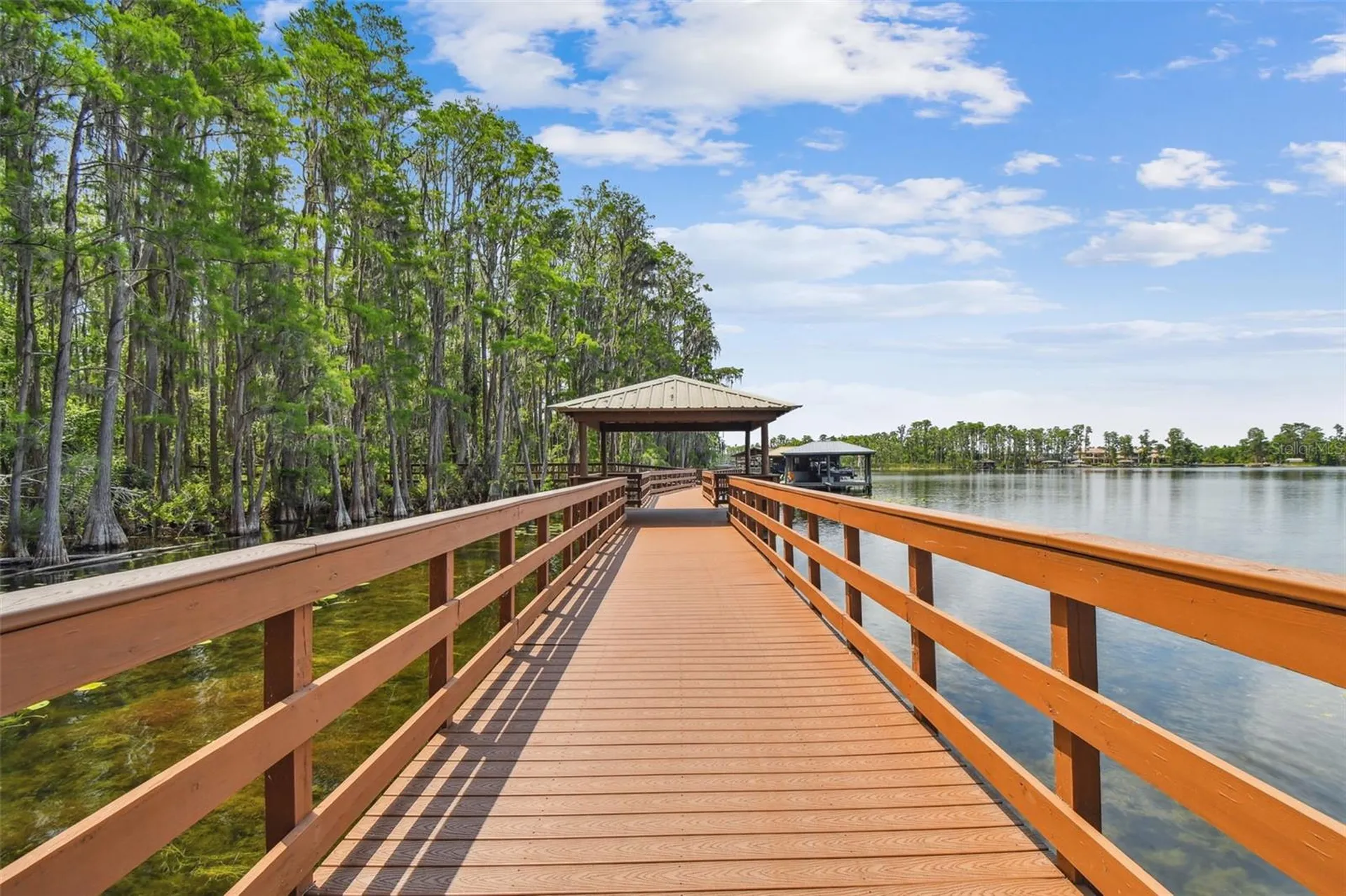 21314 Marsh Hawk Drive Land O Lakes FL 34638