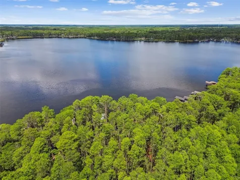 21314 Marsh Hawk Drive Land O Lakes FL 34638