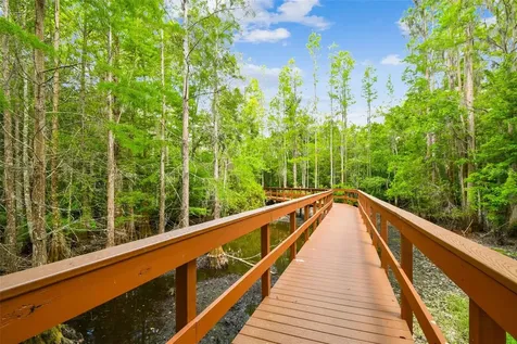 21314 Marsh Hawk Drive Land O Lakes FL 34638