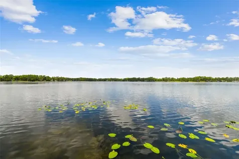 21314 Marsh Hawk Drive Land O Lakes FL 34638