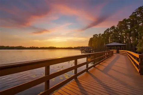 21314 Marsh Hawk Drive Land O Lakes FL 34638