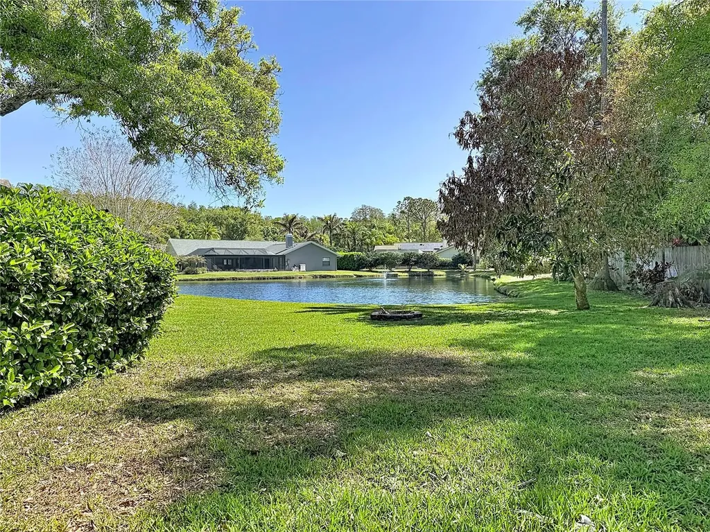 4072 Belmoor Drive Palm Harbor FL 34685