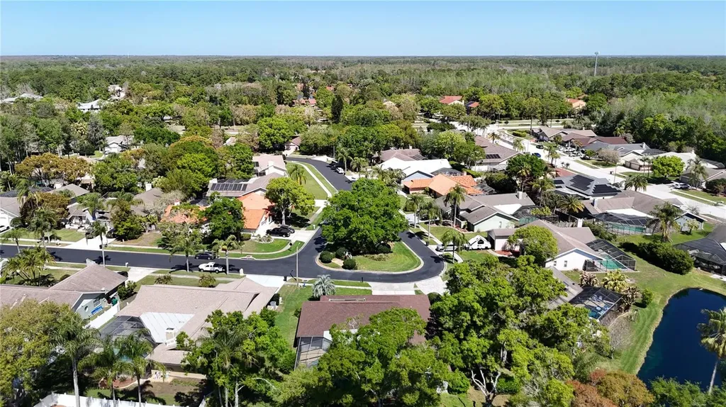 4072 Belmoor Drive Palm Harbor FL 34685