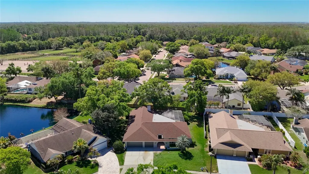 4072 Belmoor Drive Palm Harbor FL 34685