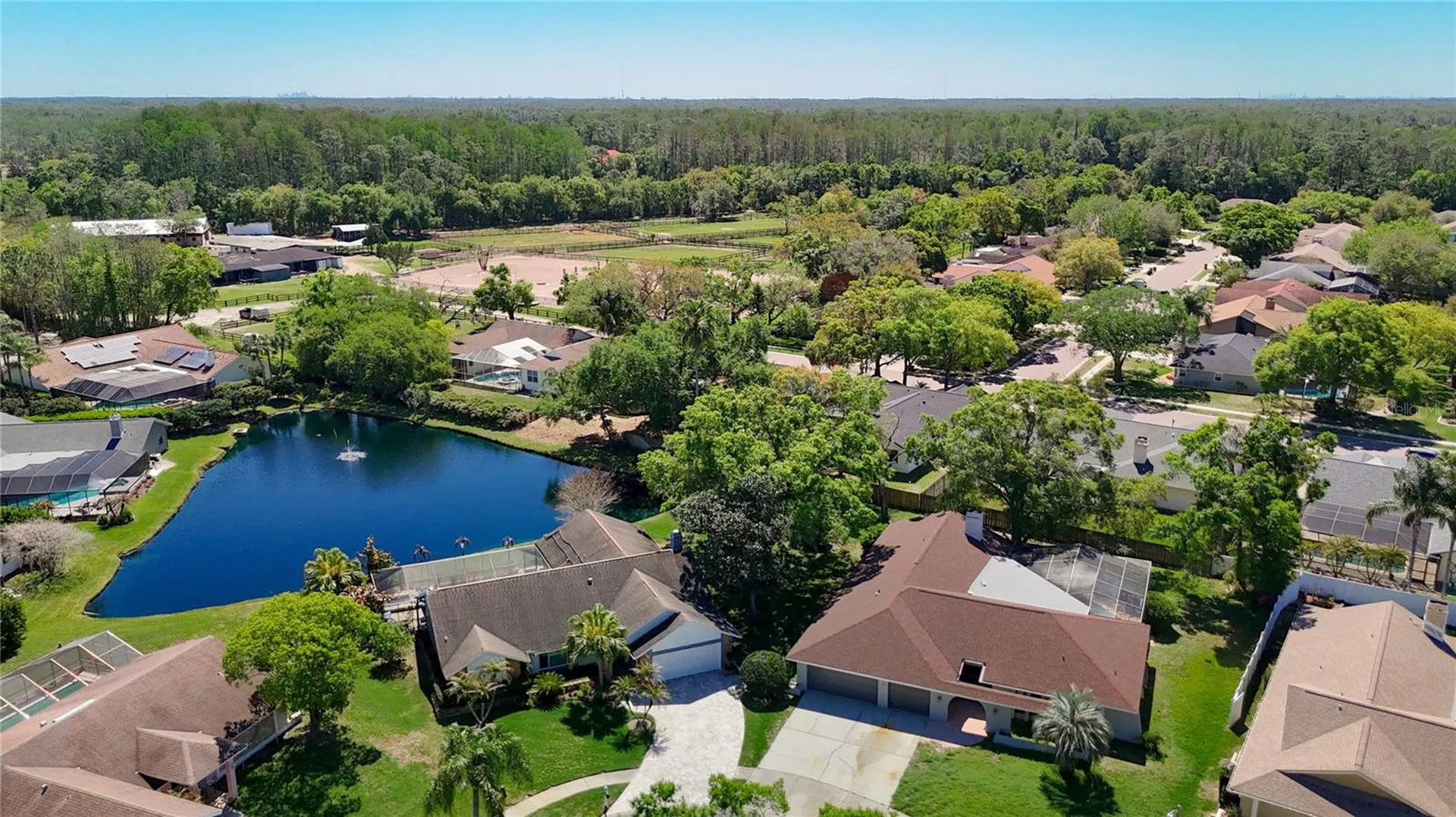 4072 Belmoor Drive Palm Harbor FL 34685