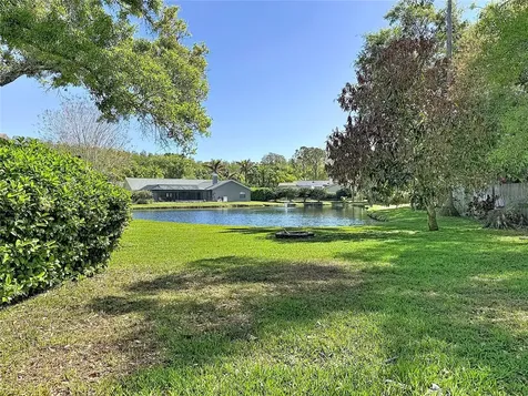 4072 Belmoor Drive Palm Harbor FL 34685