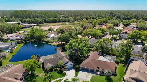 4072 Belmoor Drive Palm Harbor FL 34685