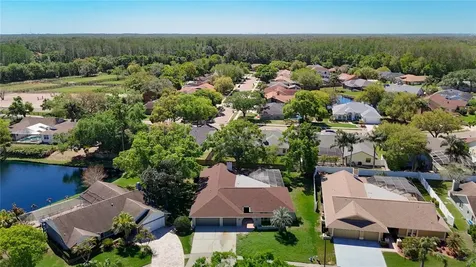 4072 Belmoor Drive Palm Harbor FL 34685