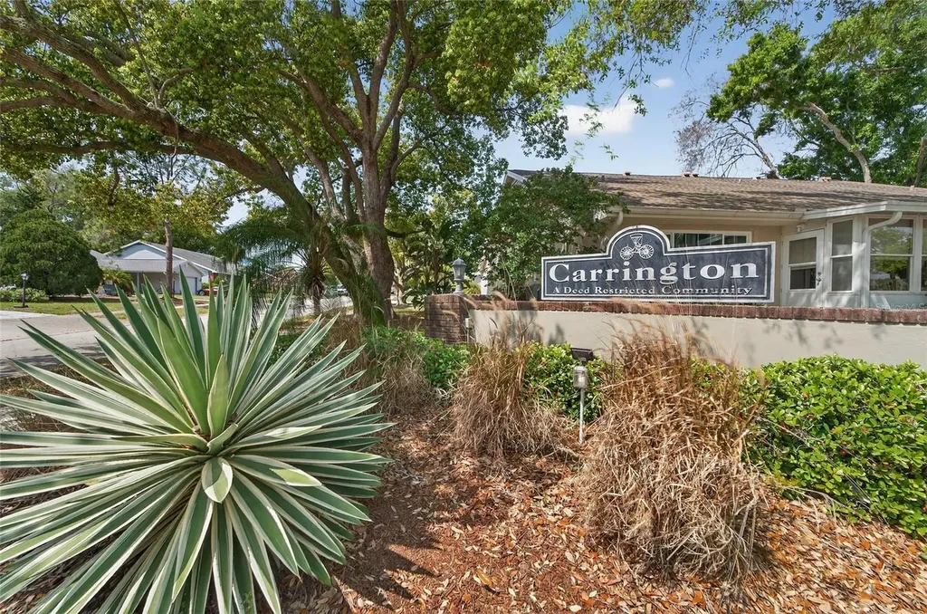 2854 Whitehall Drive Palm Harbor FL 34684