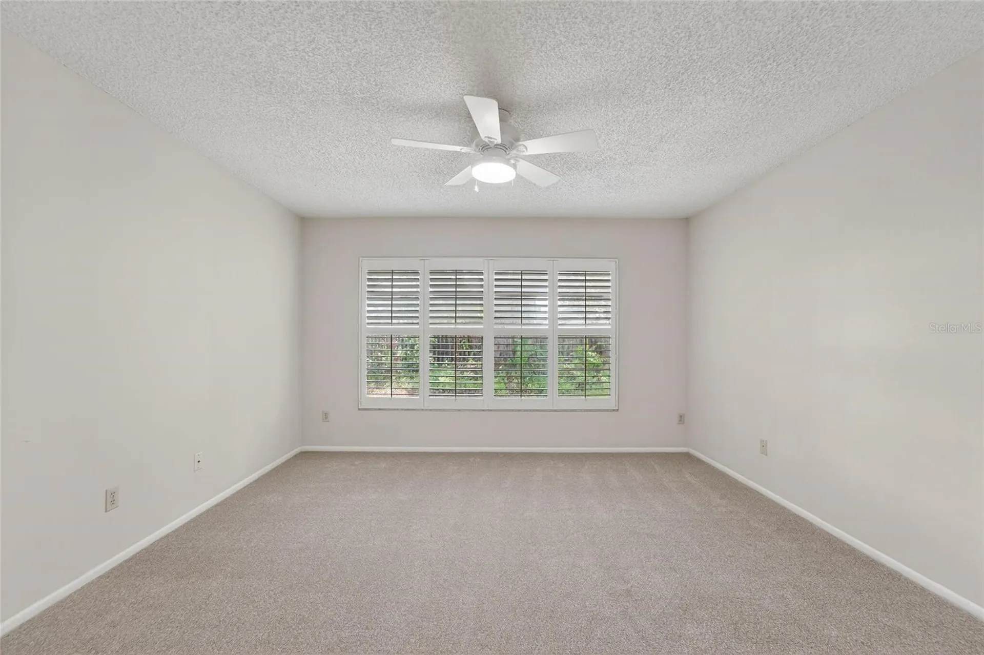 2854 Whitehall Drive Palm Harbor FL 34684
