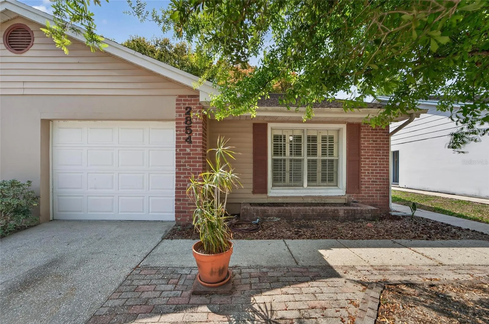 2854 Whitehall Drive Palm Harbor FL 34684
