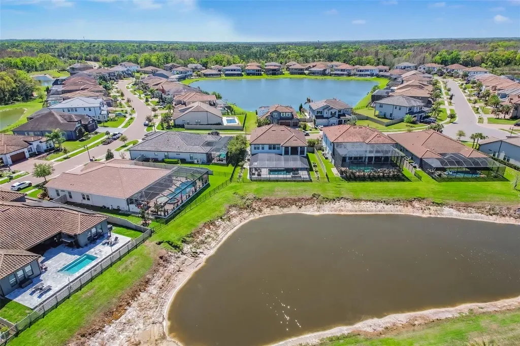 28336 Picana Lane Wesley Chapel FL 33543