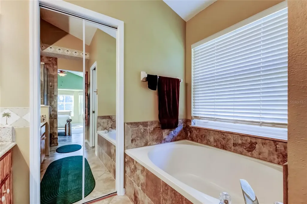 10290 Oasis Palm Drive Tampa FL 33615