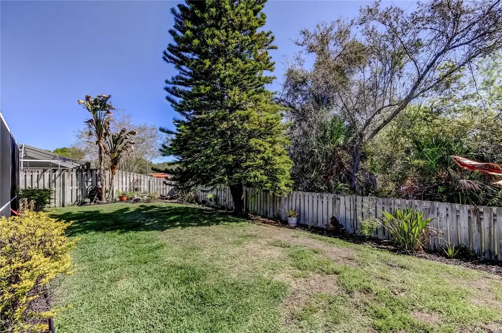 10290 Oasis Palm Drive Tampa FL 33615
