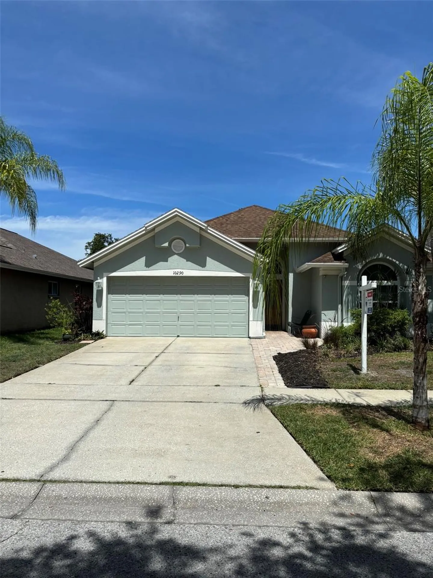 10290 Oasis Palm Drive Tampa FL 33615