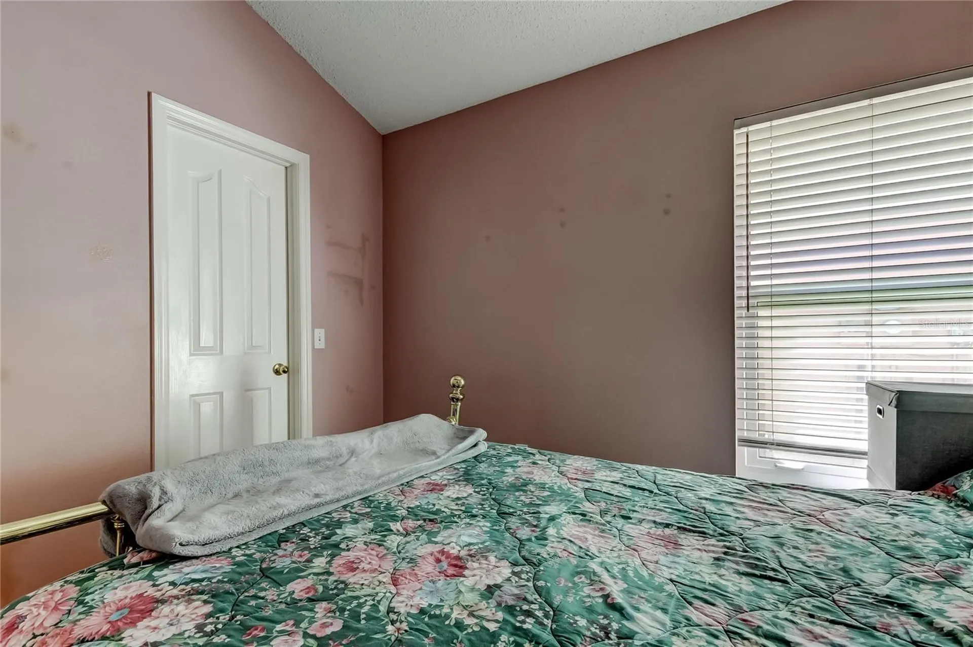 10290 Oasis Palm Drive Tampa FL 33615