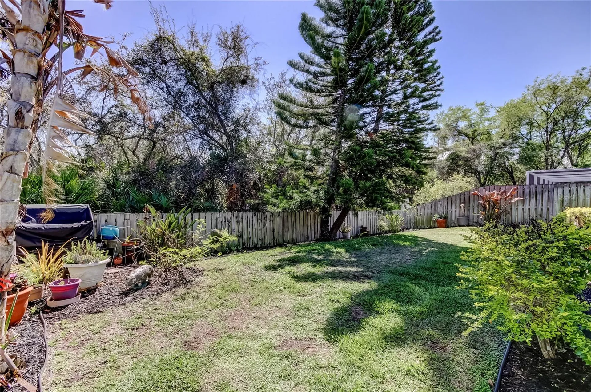 10290 Oasis Palm Drive Tampa FL 33615