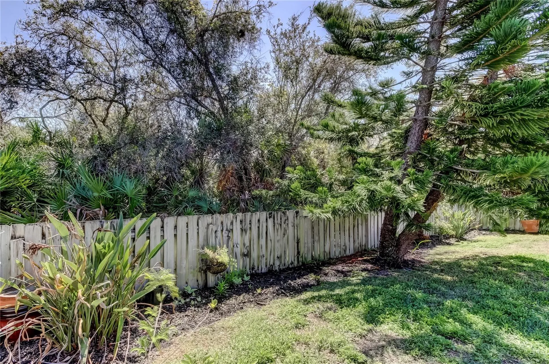 10290 Oasis Palm Drive Tampa FL 33615