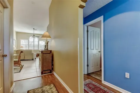 10290 Oasis Palm Drive Tampa FL 33615