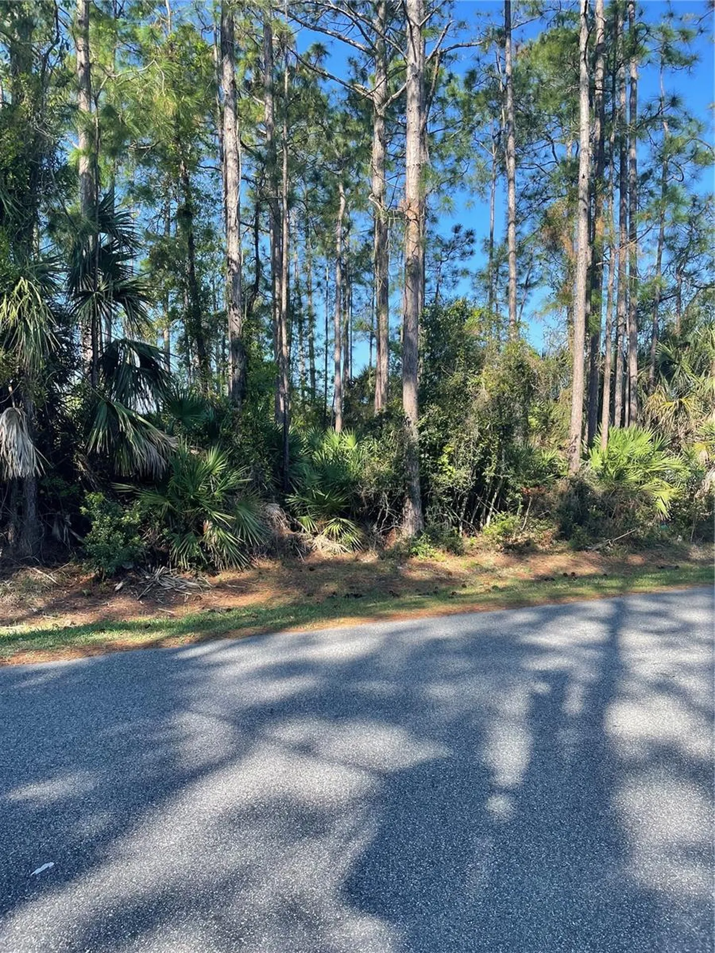 69 Lindsay Drive Palm Coast FL 32137