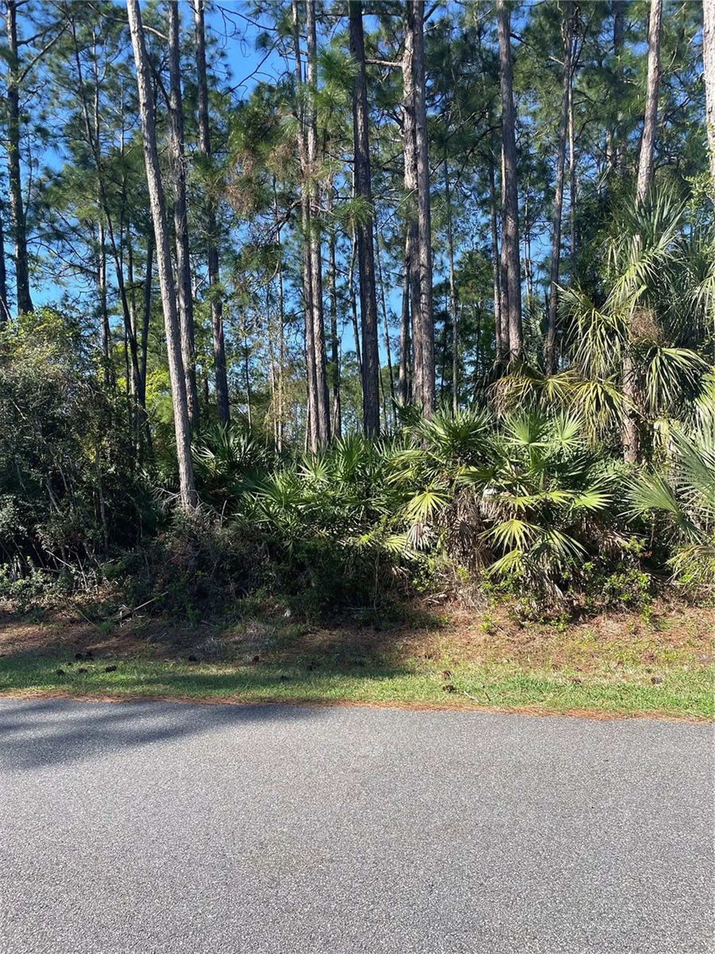 69 Lindsay Drive Palm Coast FL 32137
