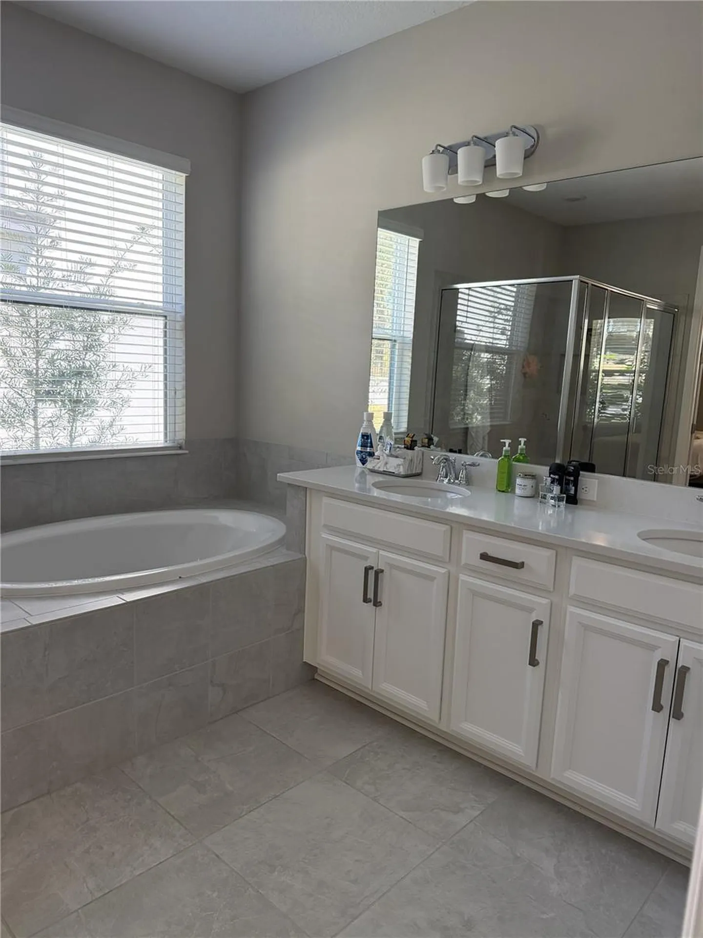 3818 Rose Mallow Drive Kissimmee FL 34746