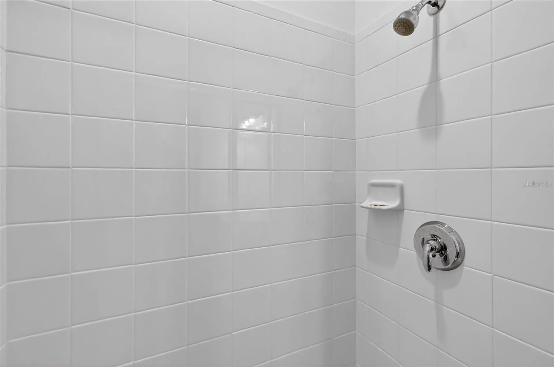 6070 Sierra Crown Street Mount Dora FL 32757