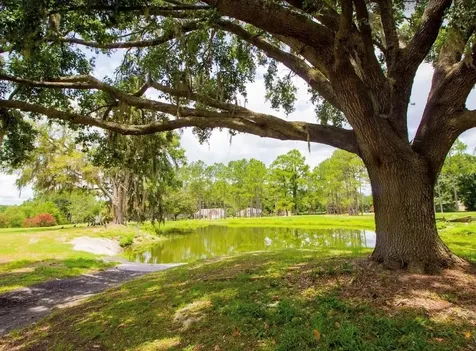 16881 NW 176th Way Alachua FL 32615