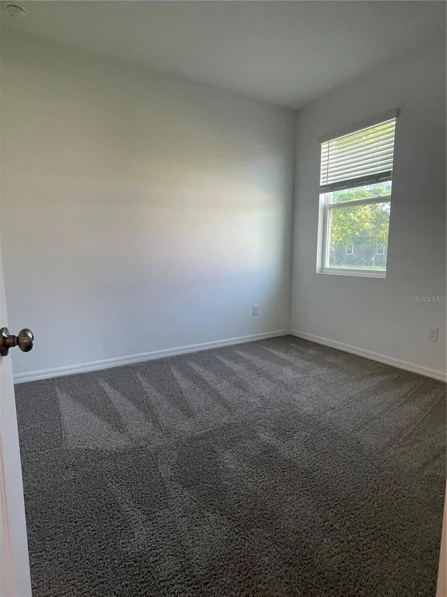 34772 Mulrion Drive Zephyrhills FL 33541