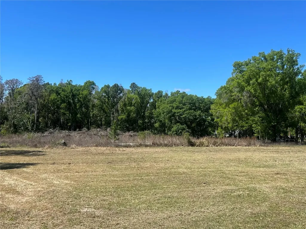 1565 Creek Road Wesley Chapel FL 33543
