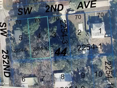 215 SW 252nd Street Newberry FL 32669