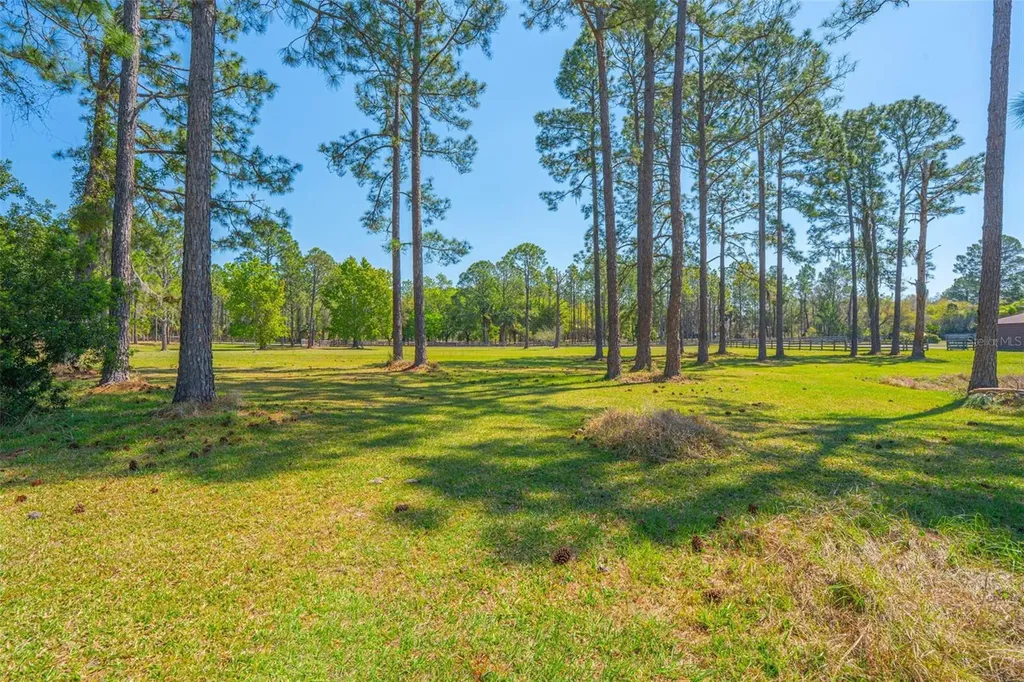 100 Wild Horse Run Deltona FL 32738