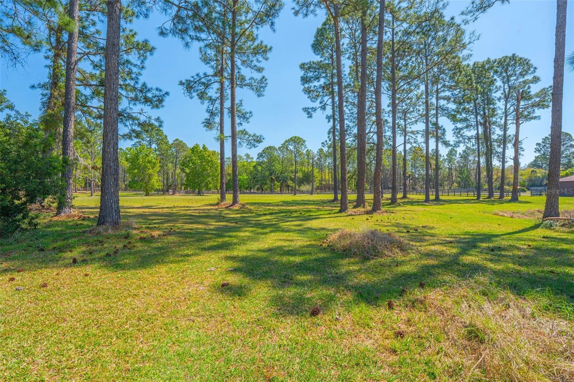 100 Wild Horse Run Deltona FL 32738
