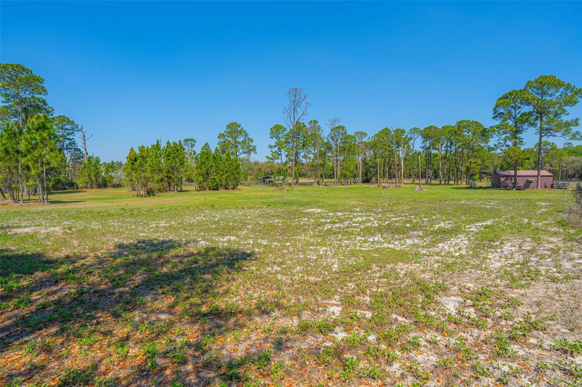100 Wild Horse Run Deltona FL 32738