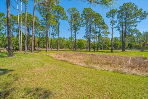 100 Wild Horse Run Deltona FL 32738