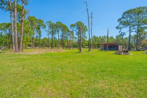 100 Wild Horse Run Deltona FL 32738