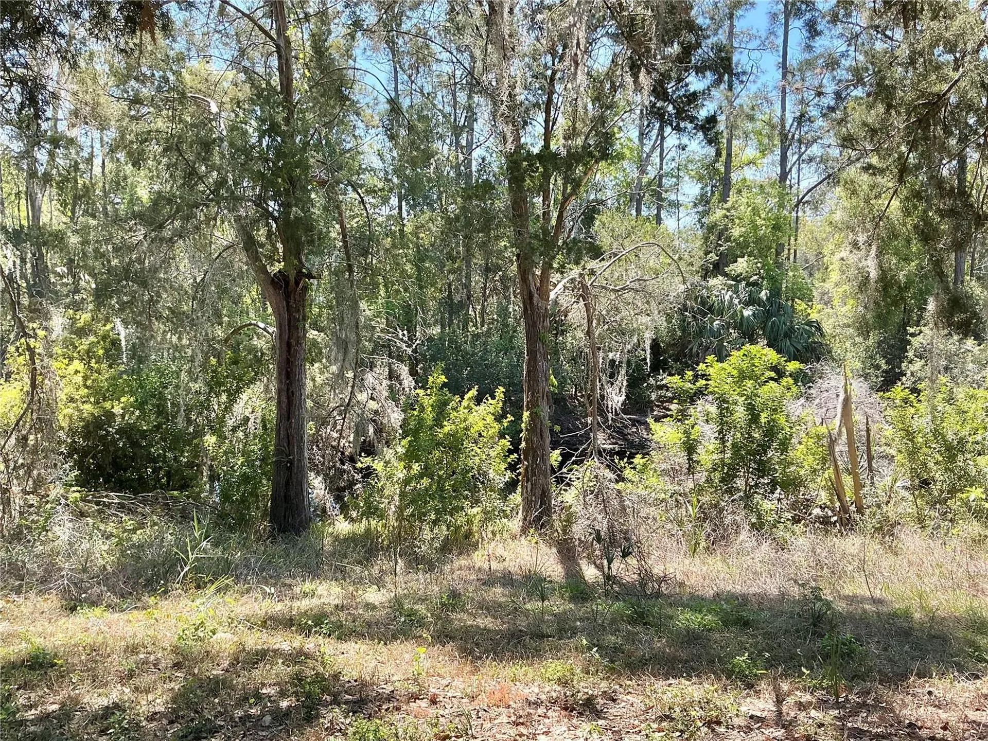 8702 Village Mill Row Hudson FL 34667