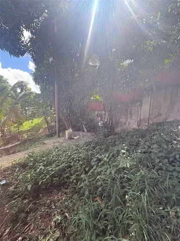 Carretera 132 Bo. Tallaboa Alta Penuelas PR 00624