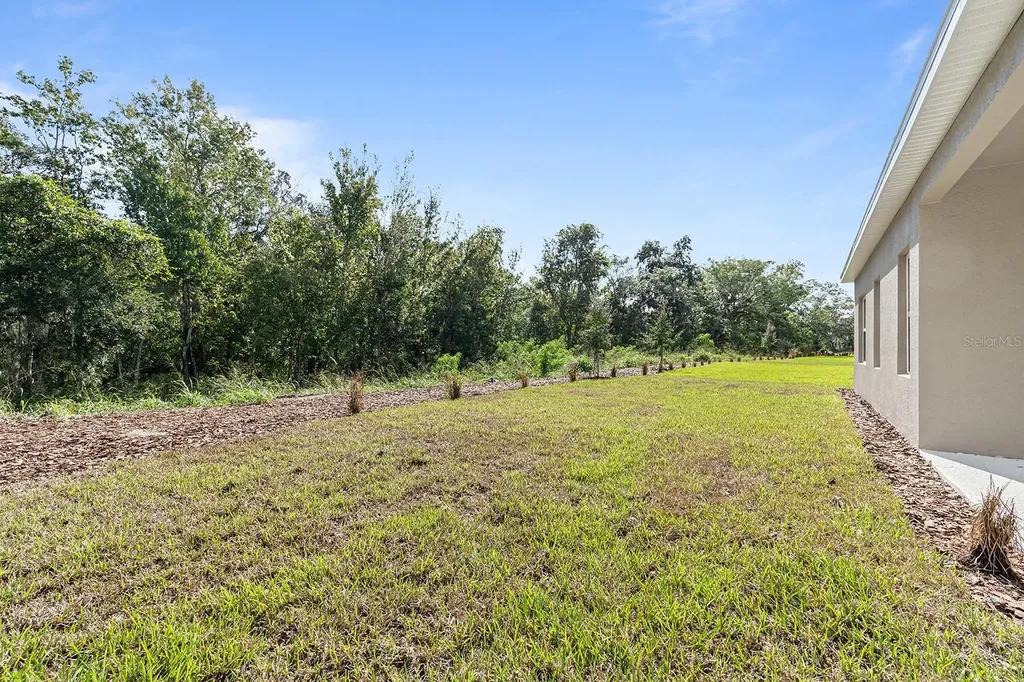 2964 Slough Creek Drive Kissimmee FL 34744