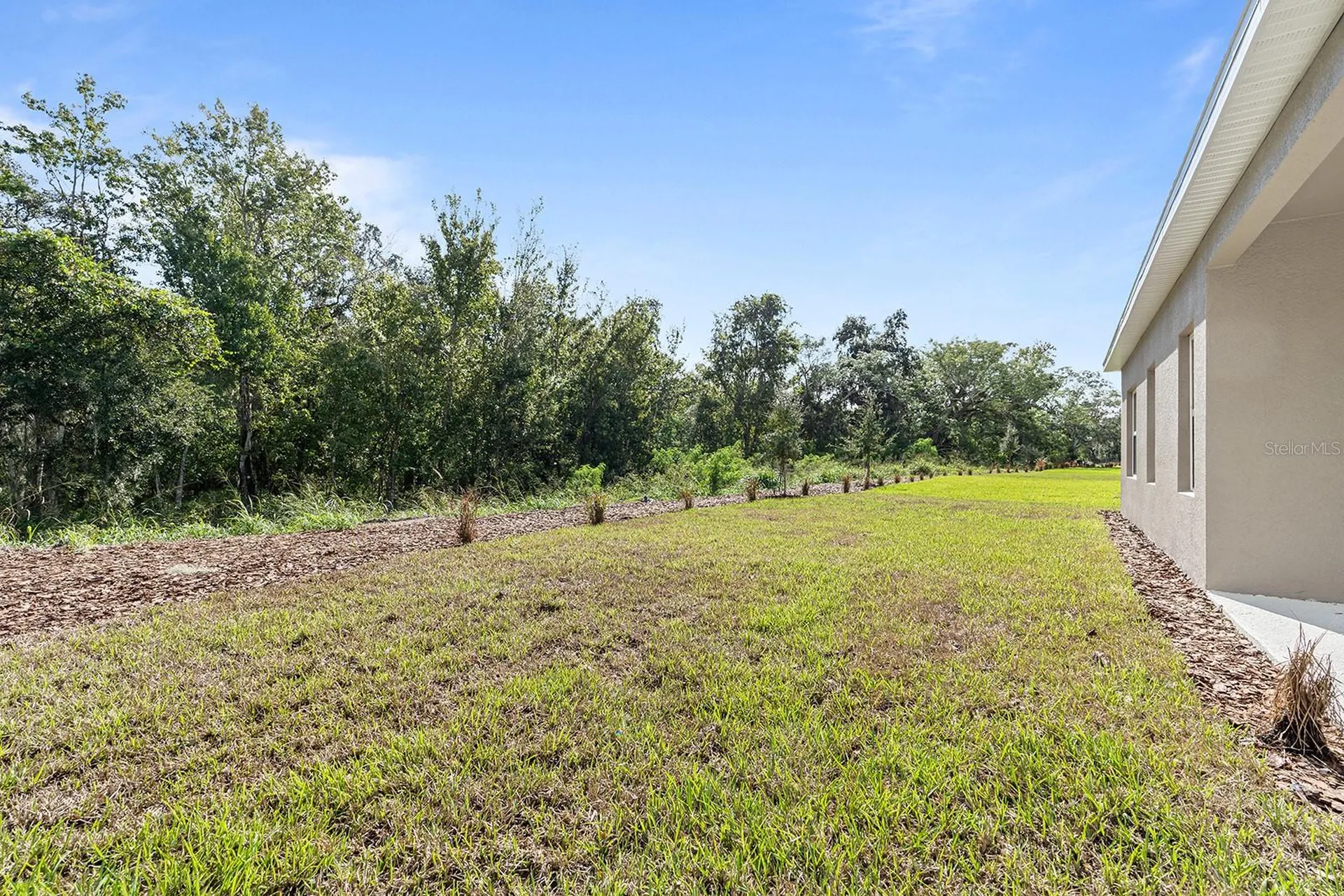 2964 Slough Creek Drive Kissimmee FL 34744