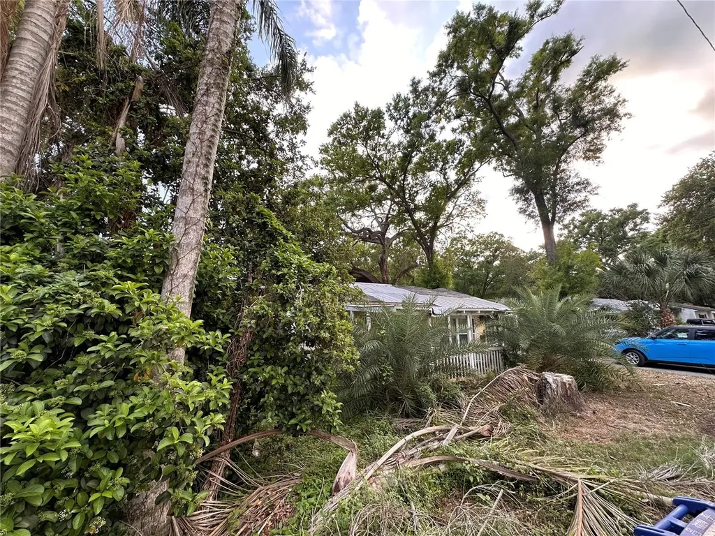 39 Hamilton Heath Drive Tampa FL 33604