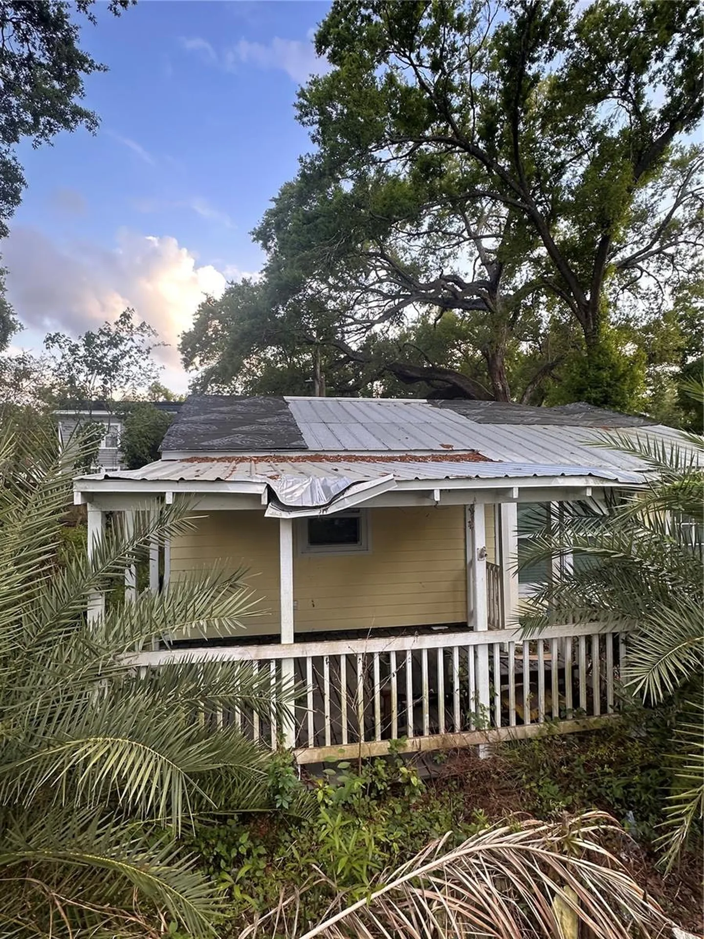 39 Hamilton Heath Drive Tampa FL 33604